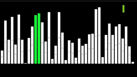 Sortierlauf aus dem README: Bubble Sort